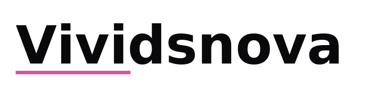 Vividsnova logo
